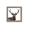 Picture of James, the Stag  _GroupedProduct_Square_Photography _GroupedProduct_Square_Framed_Matted_