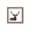 Picture of James, the Stag  _GroupedProduct_Square_Photography _GroupedProduct_Square_Framed_Matted_