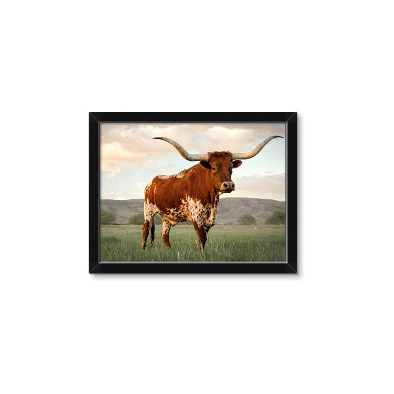 Picture of Life of a Bull _GroupedProduct_Rectangle_Landscape_Photography _GroupedProduct_Rectangle_Landscape_Framed_Matted_