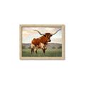 Picture of Life of a Bull _GroupedProduct_Rectangle_Landscape_Photography _GroupedProduct_Rectangle_Landscape_Framed_Matted_