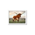 Picture of Life of a Bull _GroupedProduct_Rectangle_Landscape_Photography _GroupedProduct_Rectangle_Landscape_Framed_Matted_