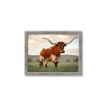 Picture of Life of a Bull _GroupedProduct_Rectangle_Landscape_Photography _GroupedProduct_Rectangle_Landscape_Framed_Matted_