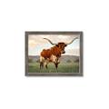 Picture of Life of a Bull _GroupedProduct_Rectangle_Landscape_Photography _GroupedProduct_Rectangle_Landscape_Framed_Matted_
