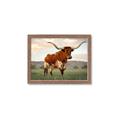 Picture of Life of a Bull _GroupedProduct_Rectangle_Landscape_Photography _GroupedProduct_Rectangle_Landscape_Framed_Matted_