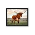 Picture of Life of a Bull _GroupedProduct_Rectangle_Landscape_Photography _GroupedProduct_Rectangle_Landscape_Framed_Matted_