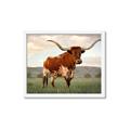 Picture of Life of a Bull _GroupedProduct_Rectangle_Landscape_Photography _GroupedProduct_Rectangle_Landscape_Framed_Matted_