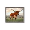 Picture of Life of a Bull _GroupedProduct_Rectangle_Landscape_Photography _GroupedProduct_Rectangle_Landscape_Framed_Matted_