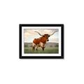 Picture of Life of a Bull _GroupedProduct_Rectangle_Landscape_Photography _GroupedProduct_Rectangle_Landscape_Framed_Matted_