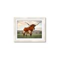 Picture of Life of a Bull _GroupedProduct_Rectangle_Landscape_Photography _GroupedProduct_Rectangle_Landscape_Framed_Matted_
