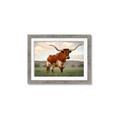 Picture of Life of a Bull _GroupedProduct_Rectangle_Landscape_Photography _GroupedProduct_Rectangle_Landscape_Framed_Matted_