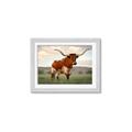 Picture of Life of a Bull _GroupedProduct_Rectangle_Landscape_Photography _GroupedProduct_Rectangle_Landscape_Framed_Matted_