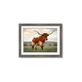 Picture of Life of a Bull _GroupedProduct_Rectangle_Landscape_Photography _GroupedProduct_Rectangle_Landscape_Framed_Matted_
