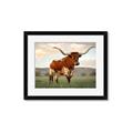 Picture of Life of a Bull _GroupedProduct_Rectangle_Landscape_Photography _GroupedProduct_Rectangle_Landscape_Framed_Matted_