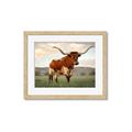 Picture of Life of a Bull _GroupedProduct_Rectangle_Landscape_Photography _GroupedProduct_Rectangle_Landscape_Framed_Matted_
