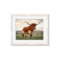 Picture of Life of a Bull _GroupedProduct_Rectangle_Landscape_Photography _GroupedProduct_Rectangle_Landscape_Framed_Matted_