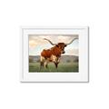 Picture of Life of a Bull _GroupedProduct_Rectangle_Landscape_Photography _GroupedProduct_Rectangle_Landscape_Framed_Matted_