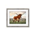 Picture of Life of a Bull _GroupedProduct_Rectangle_Landscape_Photography _GroupedProduct_Rectangle_Landscape_Framed_Matted_