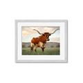 Picture of Life of a Bull _GroupedProduct_Rectangle_Landscape_Photography _GroupedProduct_Rectangle_Landscape_Framed_Matted_