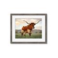 Picture of Life of a Bull _GroupedProduct_Rectangle_Landscape_Photography _GroupedProduct_Rectangle_Landscape_Framed_Matted_