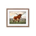 Picture of Life of a Bull _GroupedProduct_Rectangle_Landscape_Photography _GroupedProduct_Rectangle_Landscape_Framed_Matted_