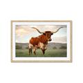 Picture of Life of a Bull _GroupedProduct_Rectangle_Landscape_Photography _GroupedProduct_Rectangle_Landscape_Framed_Matted_