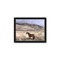 Picture of Lone Horse  _GroupedProduct_Rectangle_Landscape_Photography _GroupedProduct_Rectangle_Landscape_Framed_Matted_