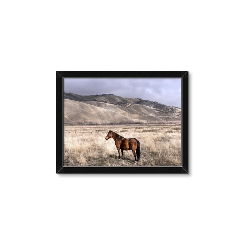 Picture of Lone Horse  _GroupedProduct_Rectangle_Landscape_Photography _GroupedProduct_Rectangle_Landscape_Framed_Matted_