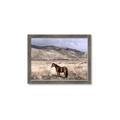 Picture of Lone Horse  _GroupedProduct_Rectangle_Landscape_Photography _GroupedProduct_Rectangle_Landscape_Framed_Matted_