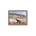 Picture of Lone Horse  _GroupedProduct_Rectangle_Landscape_Photography _GroupedProduct_Rectangle_Landscape_Framed_Matted_