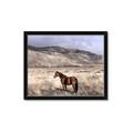 Picture of Lone Horse  _GroupedProduct_Rectangle_Landscape_Photography _GroupedProduct_Rectangle_Landscape_Framed_Matted_