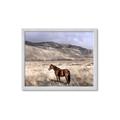 Picture of Lone Horse  _GroupedProduct_Rectangle_Landscape_Photography _GroupedProduct_Rectangle_Landscape_Framed_Matted_