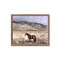 Picture of Lone Horse  _GroupedProduct_Rectangle_Landscape_Photography _GroupedProduct_Rectangle_Landscape_Framed_Matted_