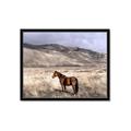 Picture of Lone Horse  _GroupedProduct_Rectangle_Landscape_Photography _GroupedProduct_Rectangle_Landscape_Framed_Matted_