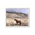 Picture of Lone Horse  _GroupedProduct_Rectangle_Landscape_Photography _GroupedProduct_Rectangle_Landscape_Framed_Matted_