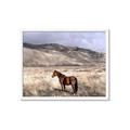 Picture of Lone Horse  _GroupedProduct_Rectangle_Landscape_Photography _GroupedProduct_Rectangle_Landscape_Framed_Matted_