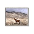 Picture of Lone Horse  _GroupedProduct_Rectangle_Landscape_Photography _GroupedProduct_Rectangle_Landscape_Framed_Matted_