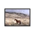 Picture of Lone Horse  _GroupedProduct_Rectangle_Landscape_Photography _GroupedProduct_Rectangle_Landscape_Framed_Matted_