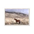 Picture of Lone Horse  _GroupedProduct_Rectangle_Landscape_Photography _GroupedProduct_Rectangle_Landscape_Framed_Matted_
