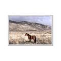 Picture of Lone Horse  _GroupedProduct_Rectangle_Landscape_Photography _GroupedProduct_Rectangle_Landscape_Framed_Matted_