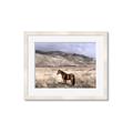 Picture of Lone Horse  _GroupedProduct_Rectangle_Landscape_Photography _GroupedProduct_Rectangle_Landscape_Framed_Matted_