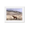 Picture of Lone Horse  _GroupedProduct_Rectangle_Landscape_Photography _GroupedProduct_Rectangle_Landscape_Framed_Matted_