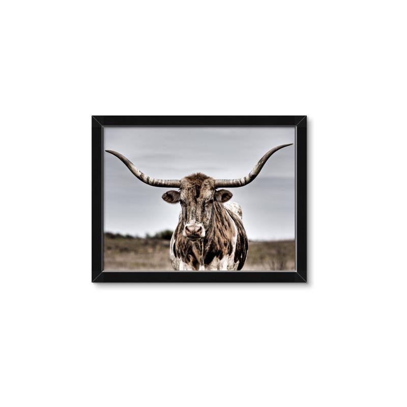 Picture of Longhorn Bull _GroupedProduct_Rectangle_Landscape_Photography _GroupedProduct_Rectangle_Landscape_Framed_Matted_