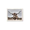 Picture of Longhorn Bull _GroupedProduct_Rectangle_Landscape_Photography _GroupedProduct_Rectangle_Landscape_Framed_Matted_