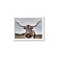Picture of Longhorn Bull _GroupedProduct_Rectangle_Landscape_Photography _GroupedProduct_Rectangle_Landscape_Framed_Matted_