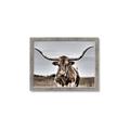 Picture of Longhorn Bull _GroupedProduct_Rectangle_Landscape_Photography _GroupedProduct_Rectangle_Landscape_Framed_Matted_