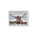 Picture of Longhorn Bull _GroupedProduct_Rectangle_Landscape_Photography _GroupedProduct_Rectangle_Landscape_Framed_Matted_