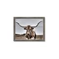Picture of Longhorn Bull _GroupedProduct_Rectangle_Landscape_Photography _GroupedProduct_Rectangle_Landscape_Framed_Matted_