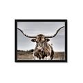 Picture of Longhorn Bull _GroupedProduct_Rectangle_Landscape_Photography _GroupedProduct_Rectangle_Landscape_Framed_Matted_