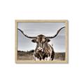 Picture of Longhorn Bull _GroupedProduct_Rectangle_Landscape_Photography _GroupedProduct_Rectangle_Landscape_Framed_Matted_