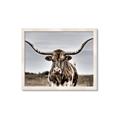 Picture of Longhorn Bull _GroupedProduct_Rectangle_Landscape_Photography _GroupedProduct_Rectangle_Landscape_Framed_Matted_